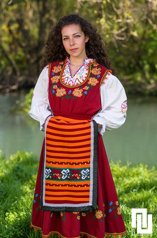 Носия от Луковитския регион