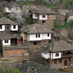 ковачевица